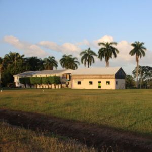Jungle Breeze Youth Ministries